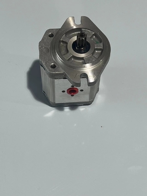 54113756 0009810445 Pumpe Konecranes Ersatzteile