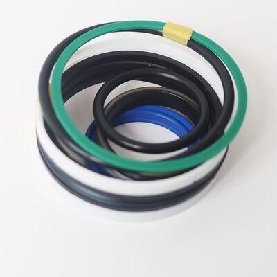 790905 Seitenverschiebung Zylinder Reparatur-Kit Elme Spreader Ersatzteile